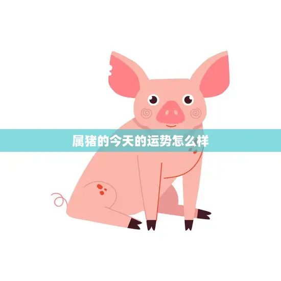属猪的今天的运势怎么样(财运亨通感情顺利)