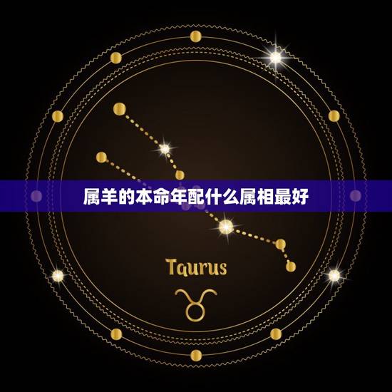 属羊的本命年配什么属相最好，属羊的跟什么属相最旺财