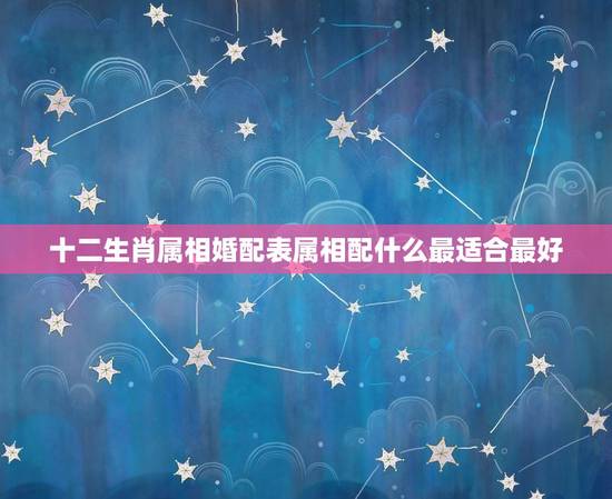 十二生肖属相婚配表属相配什么最适合最好，属相婚配表，来看你的属相配什么