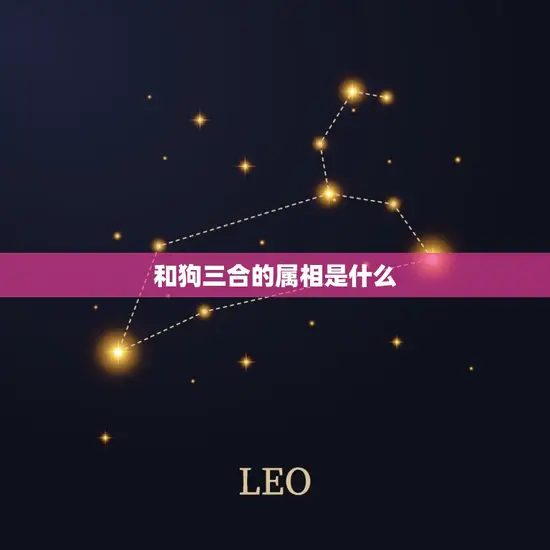 和狗三合的属相是什么