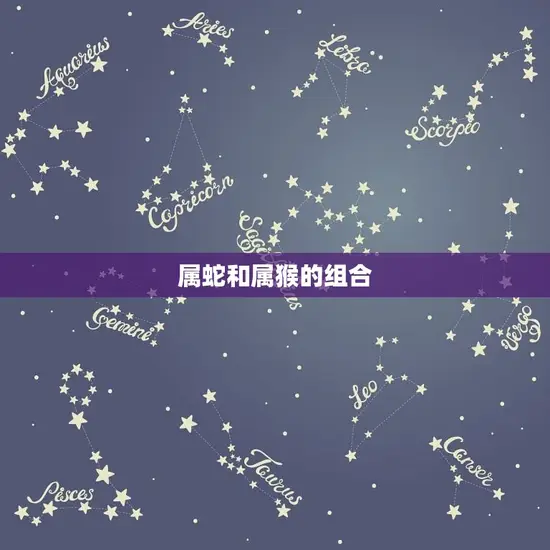 属蛇和属猴的组合