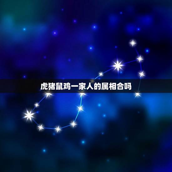 虎猪鼠鸡一家人的属相合吗,属鸡和属虎的合不合? 虎猪鼠鸡一家人的属相合吗,属鸡和属虎的合不合?
