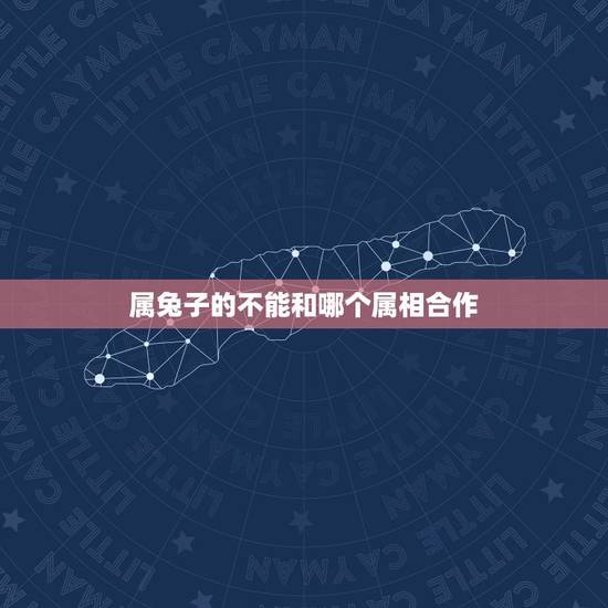 属兔子的不能和哪个属相合作，属兔男人不能和什么属相的人做生意