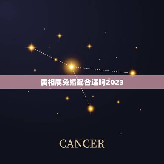 属相属兔婚配合适吗2023，女属兔婚配什么属相合适？