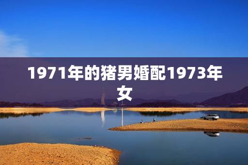 1971年的猪男婚配1973年女，1971的男猪和1973年女牛年