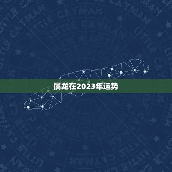 属龙在2023年运势