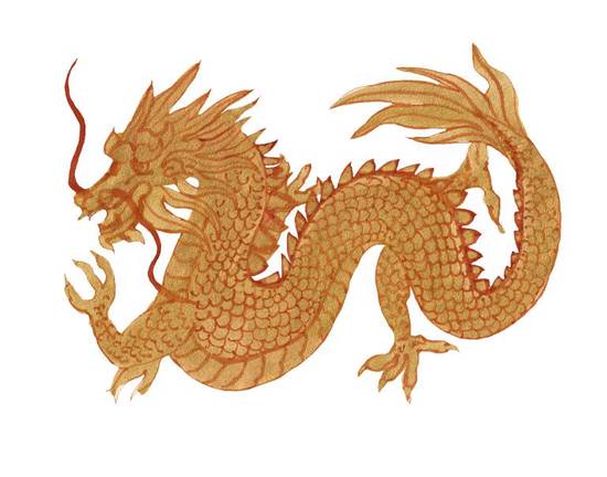 1988年龙女：命运转折的五重奇迹