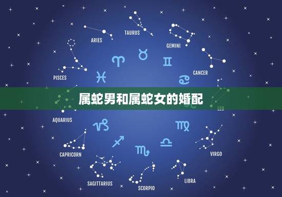 属蛇男和属蛇女的婚配，属蛇男跟属马女婚配可以吗