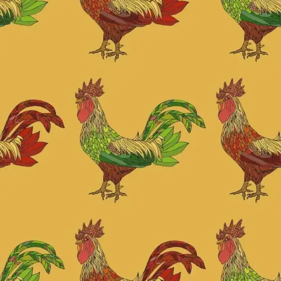 生肖鸡无尾特征图