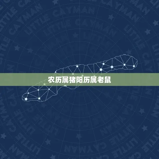 农历属猪阳历属老鼠