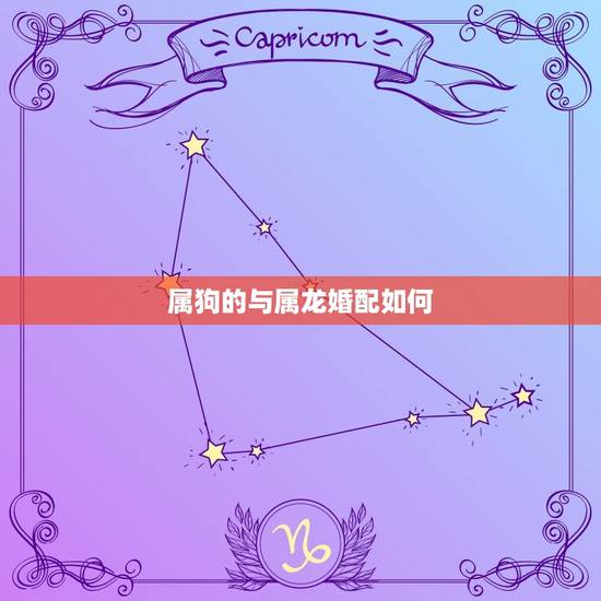 属狗的与属龙婚配如何，属狗的和属龙的相配吗？