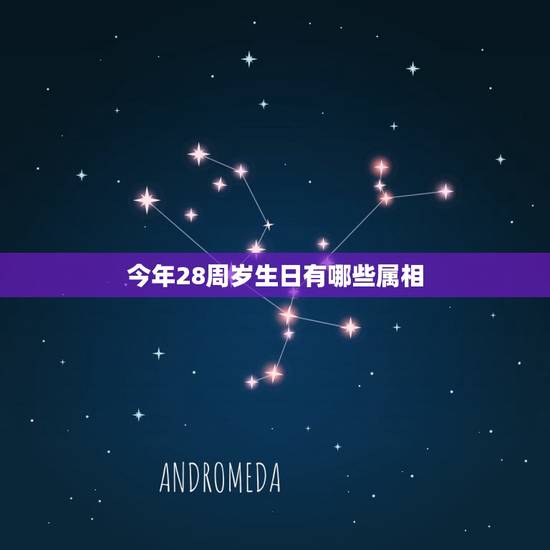 今年28周岁生日有哪些属相,生日属相排名 今年28周岁生日有哪些属相,生日属相排名