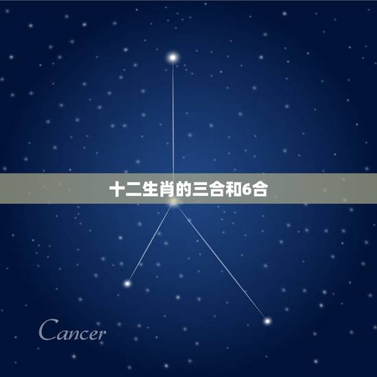 十二生肖的三合和6合 6合生肖是哪六个动物