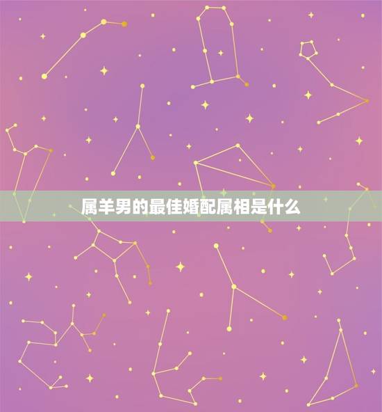 属羊男的最佳婚配属相是什么，2015年生属羊男最佳配偶是属什么