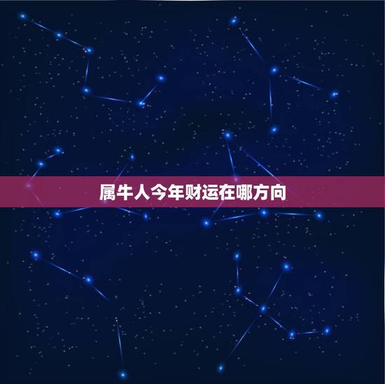 属牛人今年财运在哪方向，属牛的人今年财运在什么方向