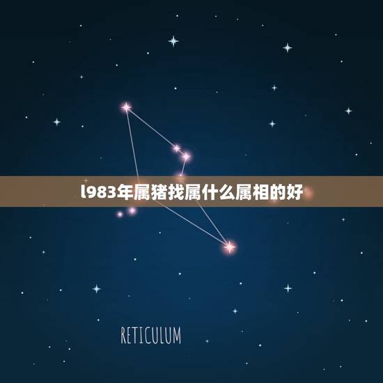l983年属猪找属什么属相的好，83年属猪的人，流年是哪几年？娶什么属