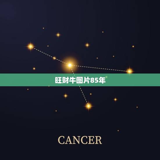 旺财牛图片85年，85年属牛，阴历2月2出生，家中鱼缸摆放在哪里合适？