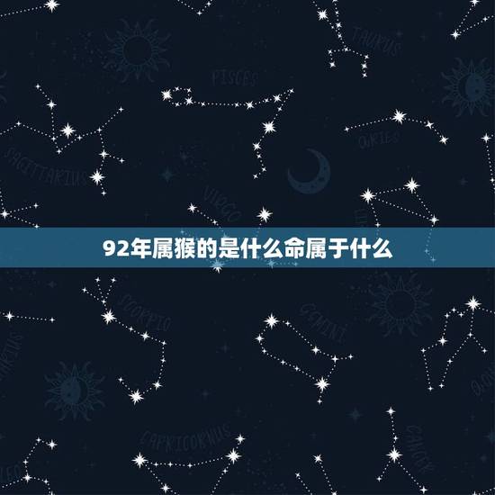 92年属猴的是什么命属于什么