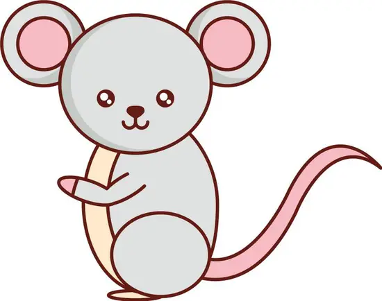 属鼠女和什么属相配最好(最佳配对指南)