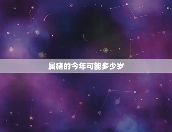 属猪的今年可能多少岁