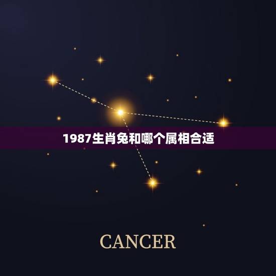 1987生肖兔和哪个属相合适,属兔,1987年出生的,男,和哪个属相结 1987生肖兔和哪个属相合适,属兔,1987年出生的,男,和哪个属相结