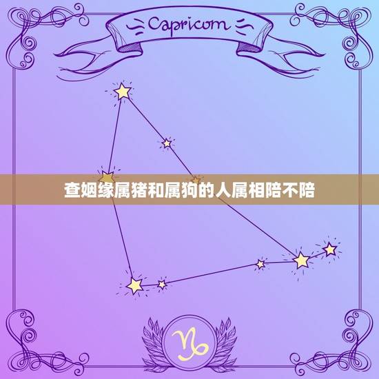 查姻缘属猪和属狗的人属相陪不陪,属狗和属猪的相配吗?能生活在一起吗? 查姻缘属猪和属狗的人属相陪不陪,属狗和属猪的相配吗?能生活在一起吗?