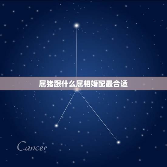 属猪跟什么属相婚配最合适，属猪配什么属相最合适