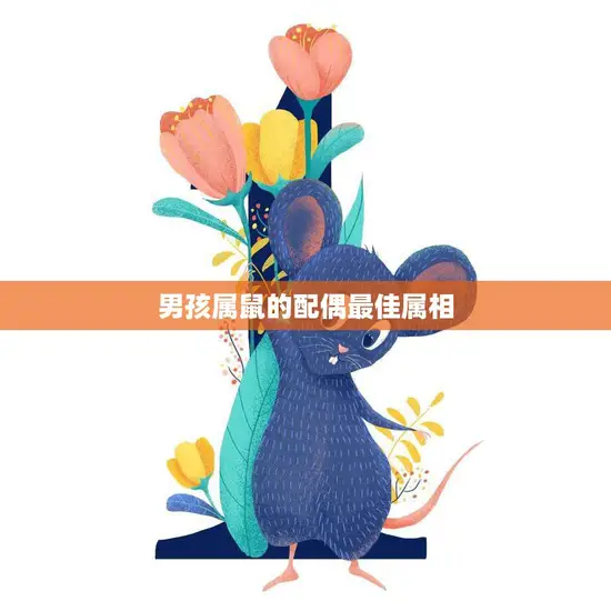 男孩属鼠的配偶最佳属相(如何选择)