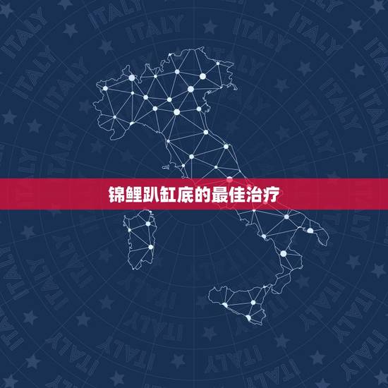 锦鲤趴缸底的最佳治疗，我的锦鲤这几天老是趴在缸底不游，怎么办