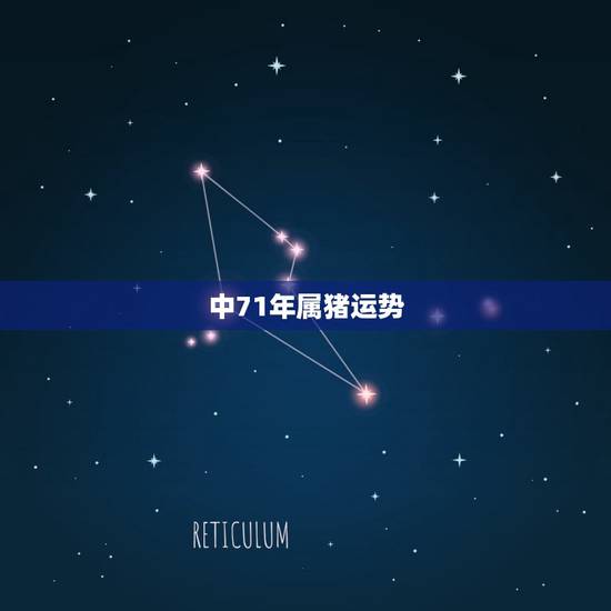 中71年属猪运势