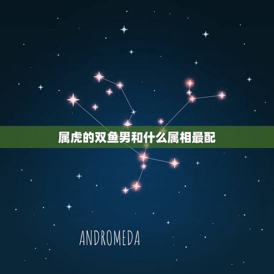 属虎的双鱼男和什么属相最配，属虎双鱼座o型血和什么属相、星座、血型的异