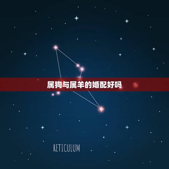 属狗与属羊的婚配好吗,属狗的和属羊的婚姻好不好 属狗与属羊的婚配好吗,属狗的和属羊的婚姻好不好