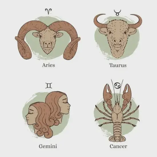 属猴的年龄表1988年多大了：属猴的全部年龄