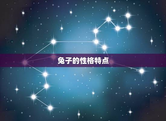 兔子的性格特点