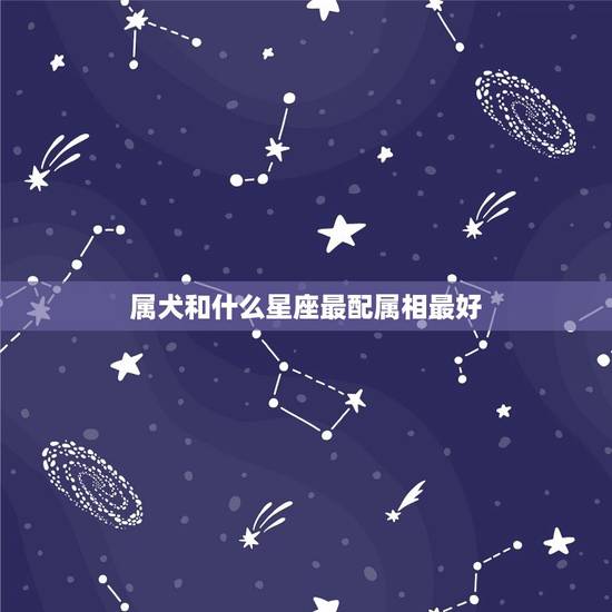属犬和什么星座最配属相最好，属狗的射手座和什么生肖星座最配