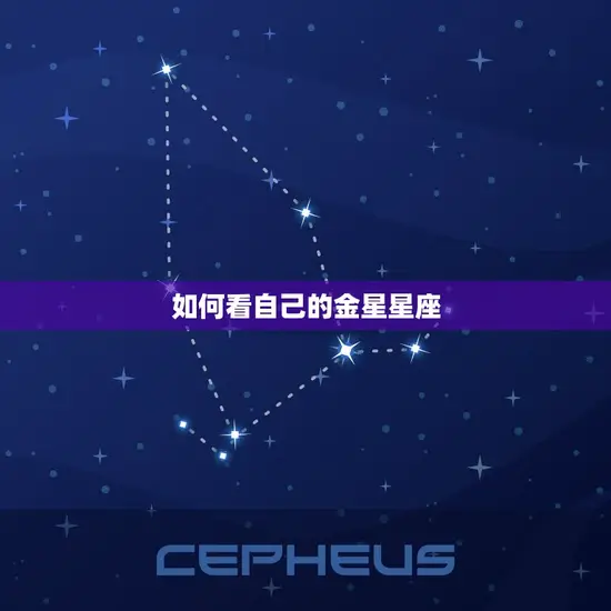 如何看自己的金星星座