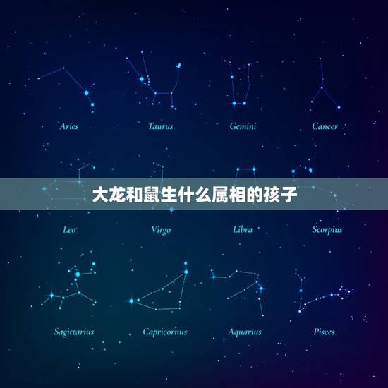 大龙和鼠生什么属相的孩子，父母属鼠孩子什么属相好