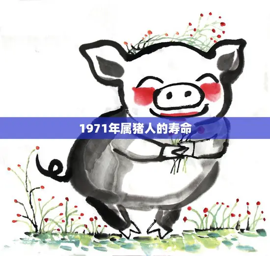 1971年属猪人的寿命(猪年出生的人寿命长短如何)