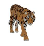 属虎女的跟什么配最合适(如何选择最佳配偶)