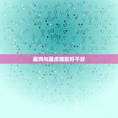 属狗与属虎婚配好不好，属狗人遇到属虎人