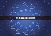 73牛男2023年运势，麦玲玲属牛人2023年运势运程？