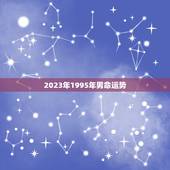 2023年1995年男命运势，2023年运势属猪运势