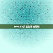 1995年4月出生猪的婚配，女属猪95年4月的属相婚配表