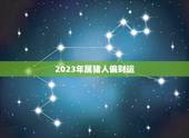 2023年属猪人偏财运，2023年属猪人的全年运势如何？