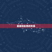 属兔人适合生蛇宝宝吗(讨论星座与生育的关系)