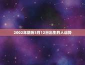 2002年阴历3月12日出生的人运势