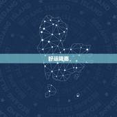 狮子今日的运势怎么样(好运降临事业顺利)