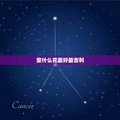 室什么花最好最吉利，室内最好养的花排名