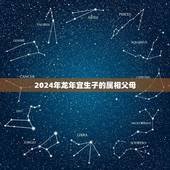 2024年龙年宜生子的属相父母(介绍龙年生育禁忌与宜忌)