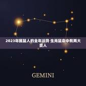 2023年属鼠人的全年运势 生肖鼠命中有两大贵人